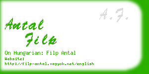 antal filp business card